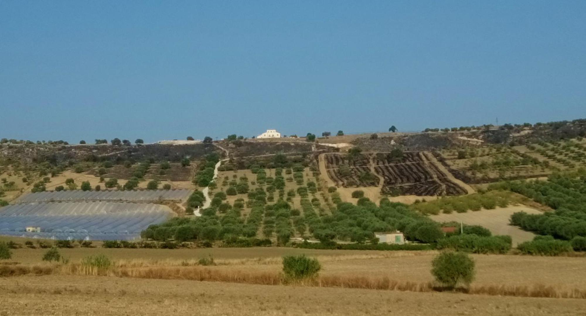 Olivandro Casale Modica Bagian luar foto