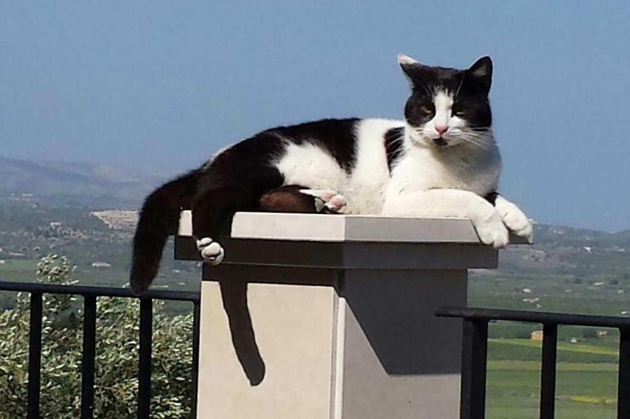 Olivandro Casale Modica Bagian luar foto